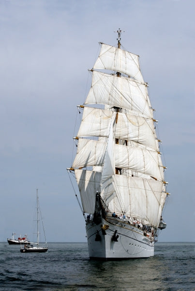 Die Schwesterschiffe der Gorch Fock: Eagle, Sagres, Mircea und Gorch Fock I