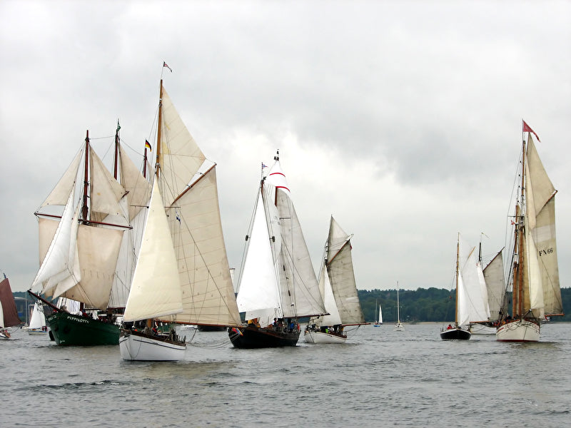 Alles über die Rumregatta